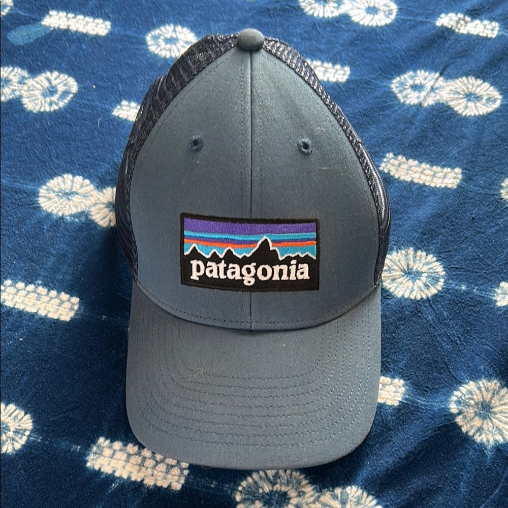Patagonia snap back baseball hat